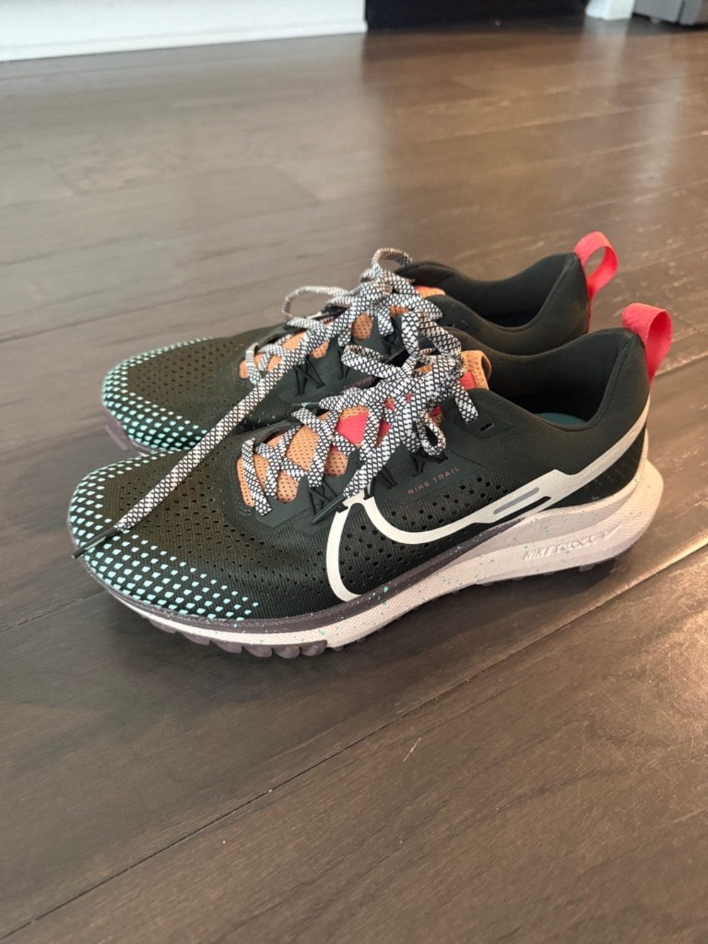 LIKE NEW Nike Pegasus Trail Shoes